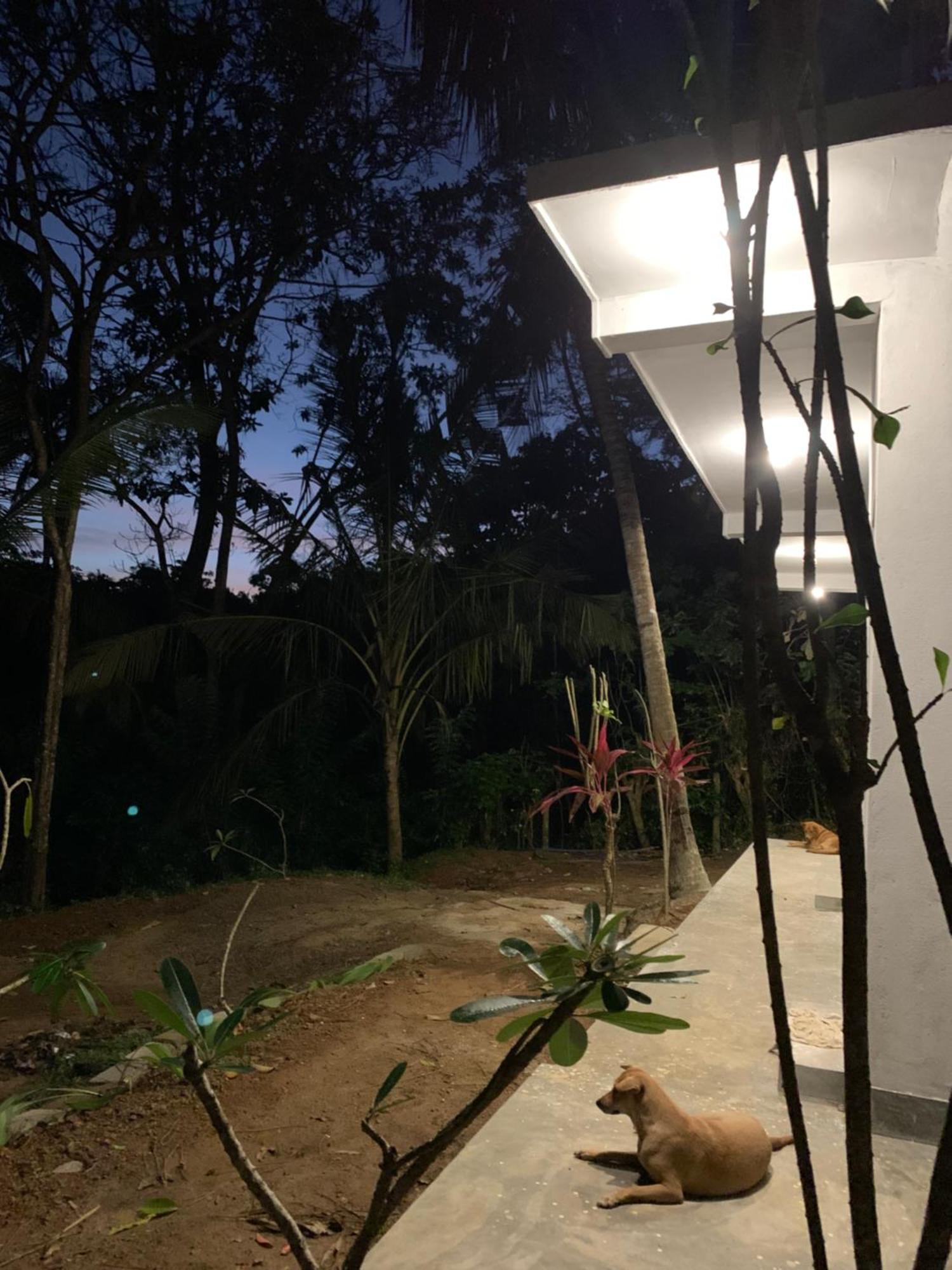 Hidden Well Hiriketiya Hostel Dikwella Εξωτερικό φωτογραφία