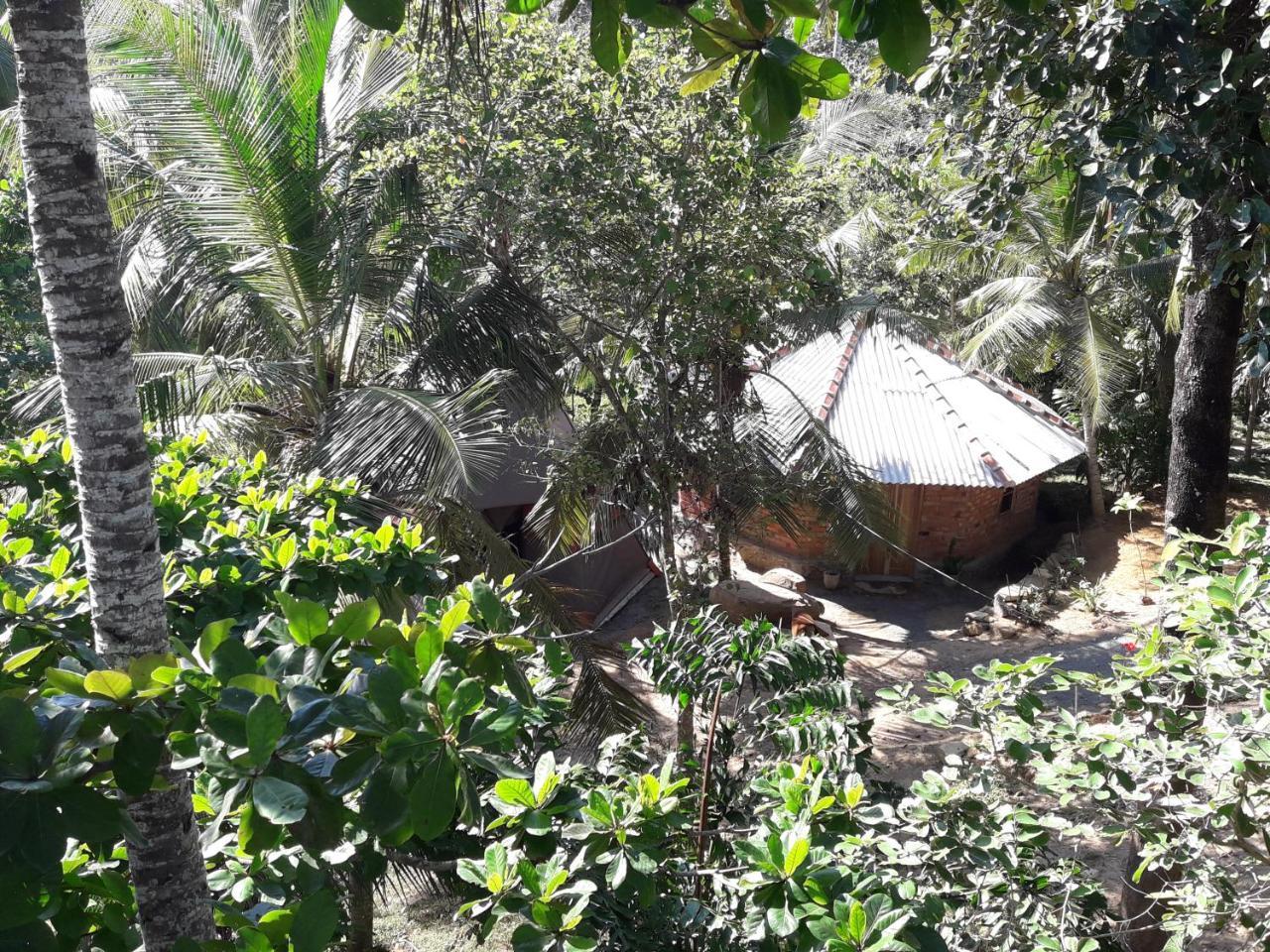 Hidden Well Hiriketiya Hostel Dikwella Εξωτερικό φωτογραφία