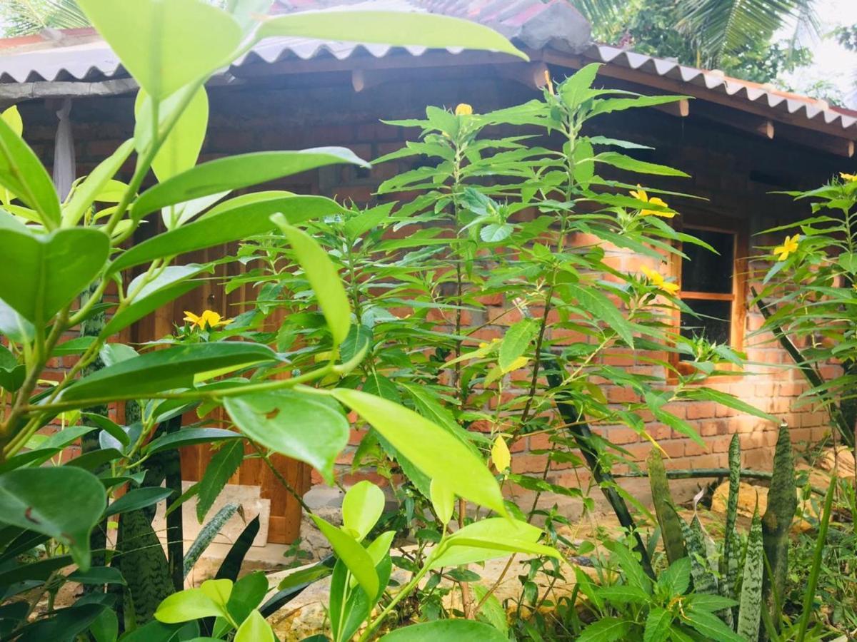 Hidden Well Hiriketiya Hostel Dikwella Εξωτερικό φωτογραφία